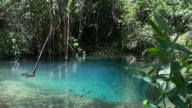 Funil&acirc;ndia: Po&ccedil;o Azul e Circuito das Cavernas &ndash; Fazenda Goiabeiras (N&iacute;vel F&aacute;cil)
